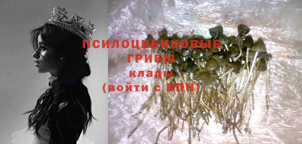 ГАЛЛЮЦИНОГЕННЫЕ ГРИБЫ Абинск