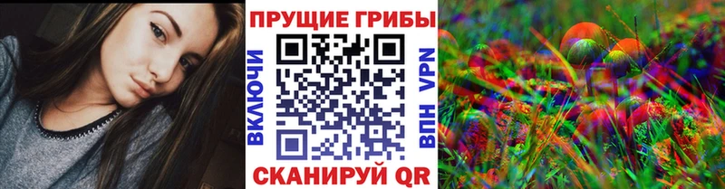 Псилоцибиновые грибы мицелий  Нижний Новгород 
